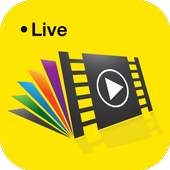 Master Lite Video 1.3