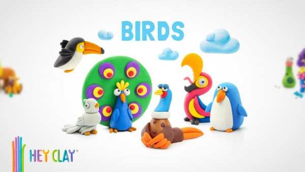 HEY CLAY® BIRDS screenshot 1
