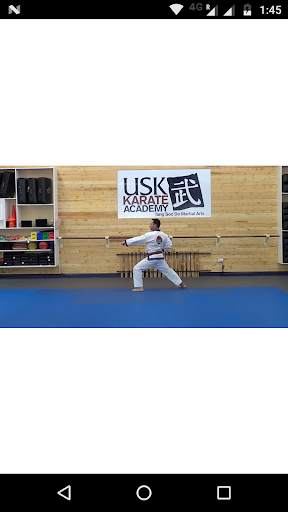 USK Karate screenshot 3
