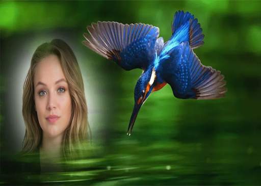 Birds Photo Frames स्क्रीनशॉट 2