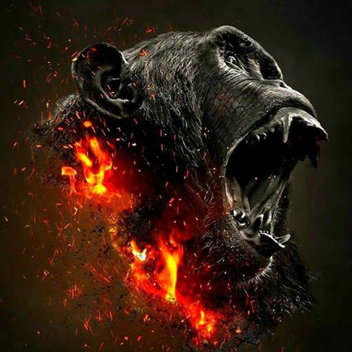 Angry Gorilla Wallpaper 1.0