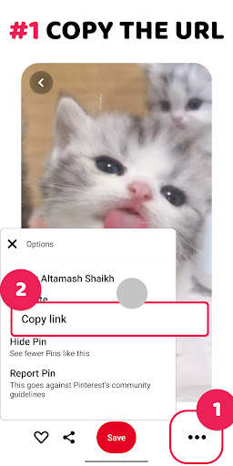 Video Downloader for Pinterest screenshot 1