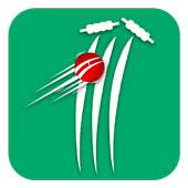 Cricket Scorer