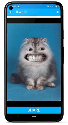 Funny Gif screenshot 6