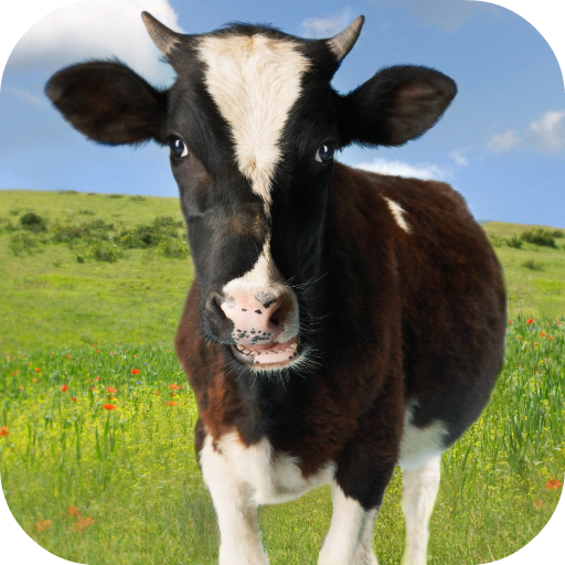 Cow Sounds أيقونة