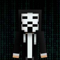 ikon Hacker Skins