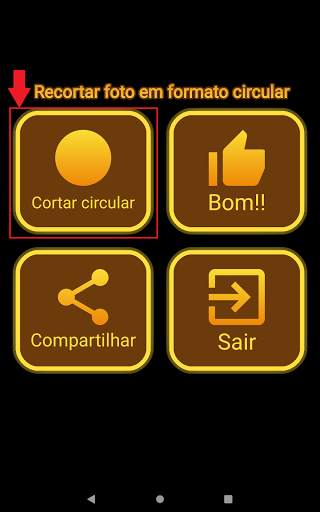 Recortar foto em formato circular screenshot 9
