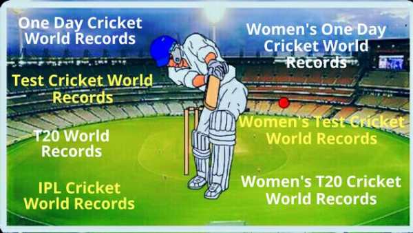 World Record Cricket screenshot 1