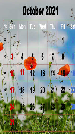 New Year Calendar Wallpaper 2021 screenshot 13