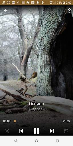 Аудиосказки Андерсена скриншот 4