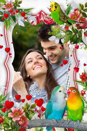 Parrot photo frames screenshot 8