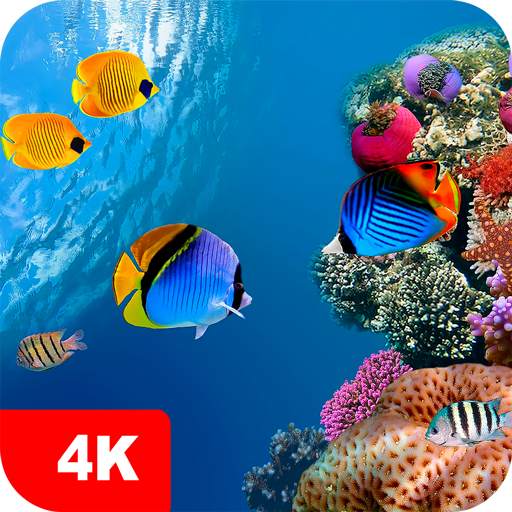 Underwater Wallpapers 4K 5.7.4