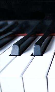Piano Pro screenshot 2