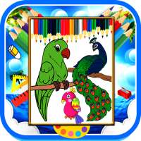 How to Draw Birds
