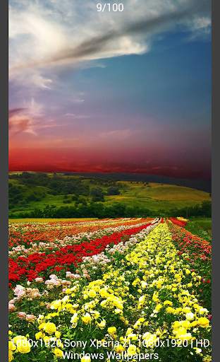 Image Search (Image Download) screenshot 7