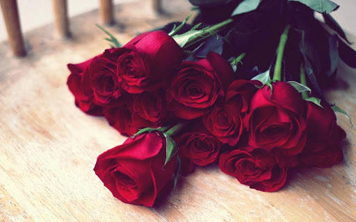 Red Rose Wallpapers screenshot 1