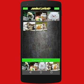 Photo Collage Dream screenshot 7