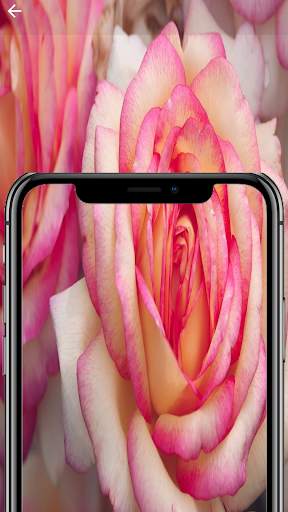 fondos de pantalla 4k - fondos de pantalla gratis screenshot 3