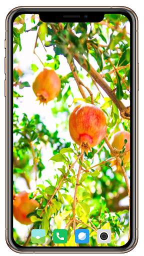 Fruit Trees Wallpaper HD screenshot 10