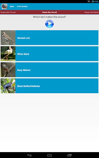 Asian Birds Sounds Free screenshot 21