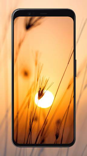 Sunrise Wallpapers screenshot 4