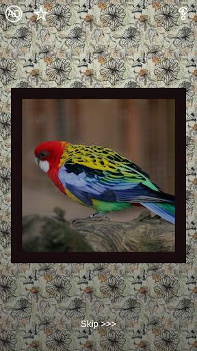 Birds Puzzles - 100 Pictures screenshot 7