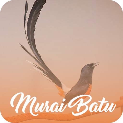 Masteran Murai Batu Offline 1.4