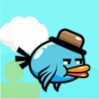 Raunchy Bird