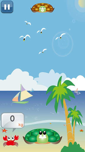 Turtle Family Game screenshot 3
