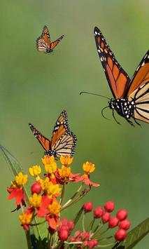Gesture Lock screen and app lock theme butterfly screenshot 4