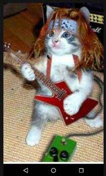 Funny Cats Pictures screenshot 1