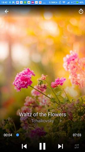 Relaxing Classical Music screenshot 5
