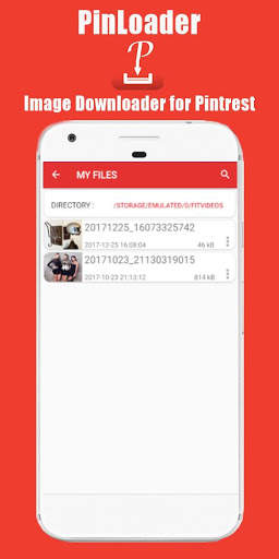 Pinloader Image Downloader screenshot 3