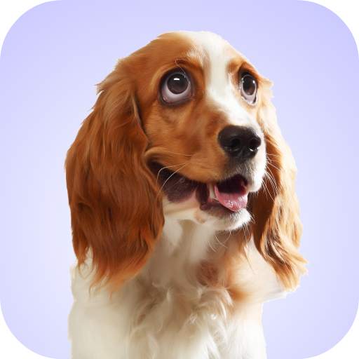 Dog Whining Sounds 1.0