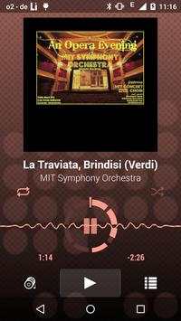 Lithium Music Player screenshot 1