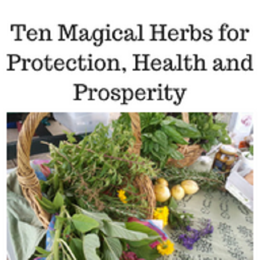 Herbs for protection icon