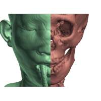 CT Scan Viewer 3D