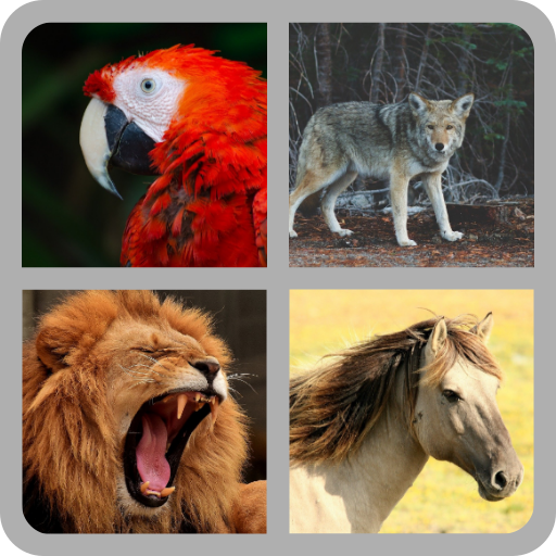 សំលេងសត្វ ~ (Animal Sounds) icon