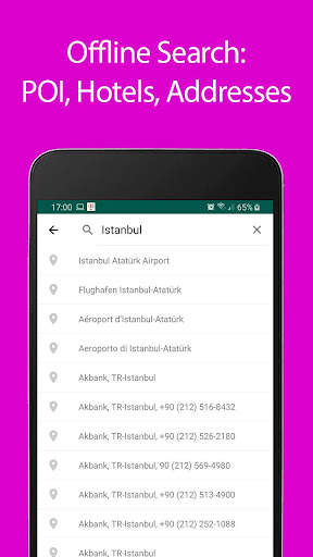 Istanbul Offline Map and Trave screenshot 3