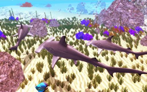 The Hammerhead Shark screenshot 20