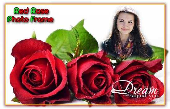 Red Rose Photo Frames screenshot 3