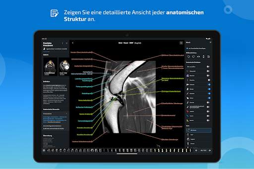 vet-Anatomy screenshot 13