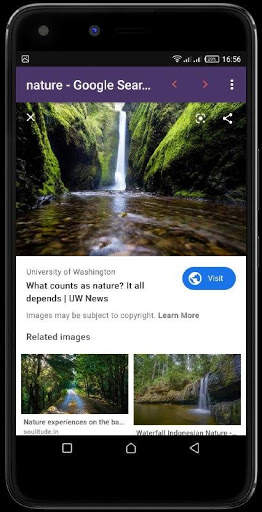 fast secure browser screenshot 2