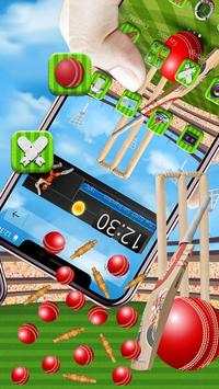 3d Cricket Gravity Theme screenshot 3