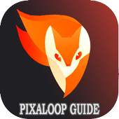Advice Pixaloop app android video editing 1.0