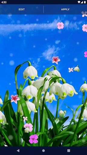 Spring Flower Live Wallpaper screenshot 8
