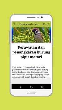 Burung Pipit Gacor screenshot 4