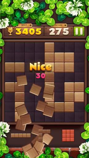 Wood Block Puzzle Game screenshot 8
