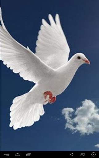 Sounds Dove screenshot 1