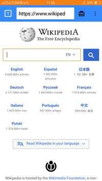 Super Fire Browser screenshot 5
